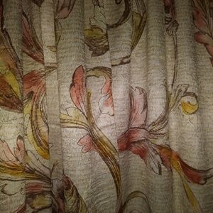 Luxurious Pair of Curtians